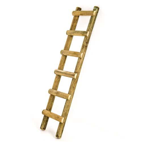 Jungle Gym Ladder